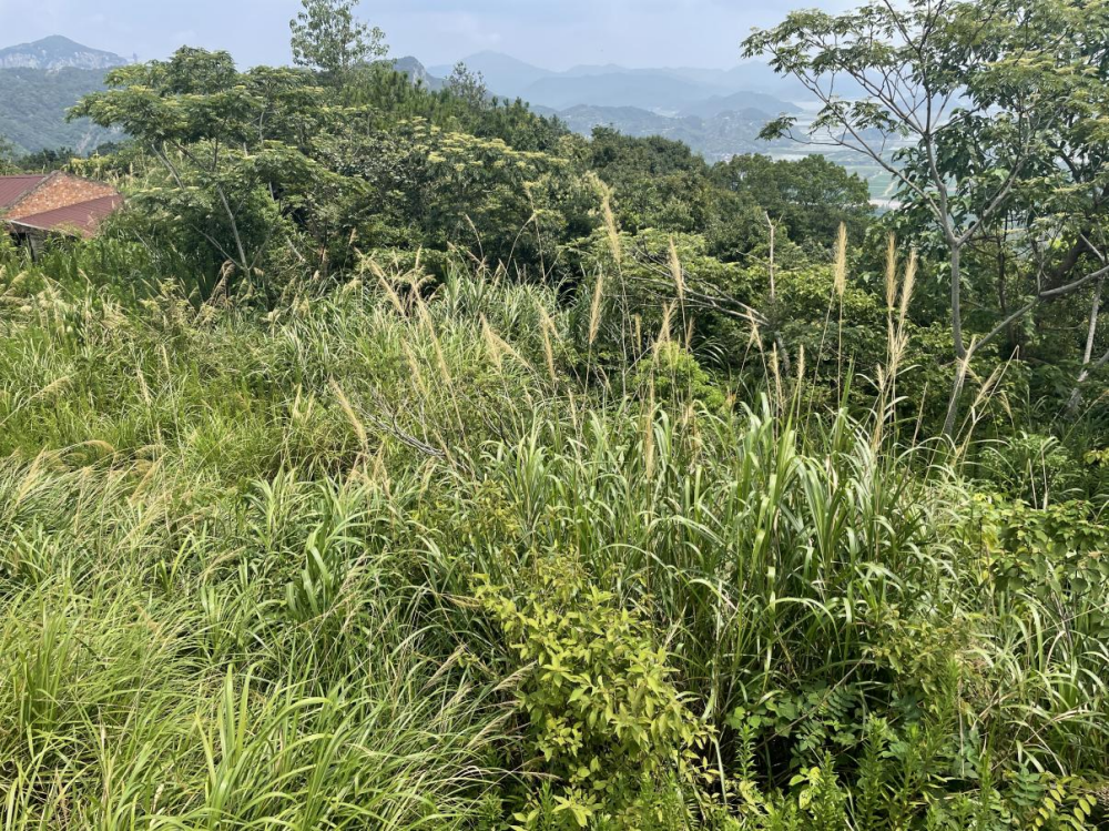 1700706480244954.png 圖片3.png