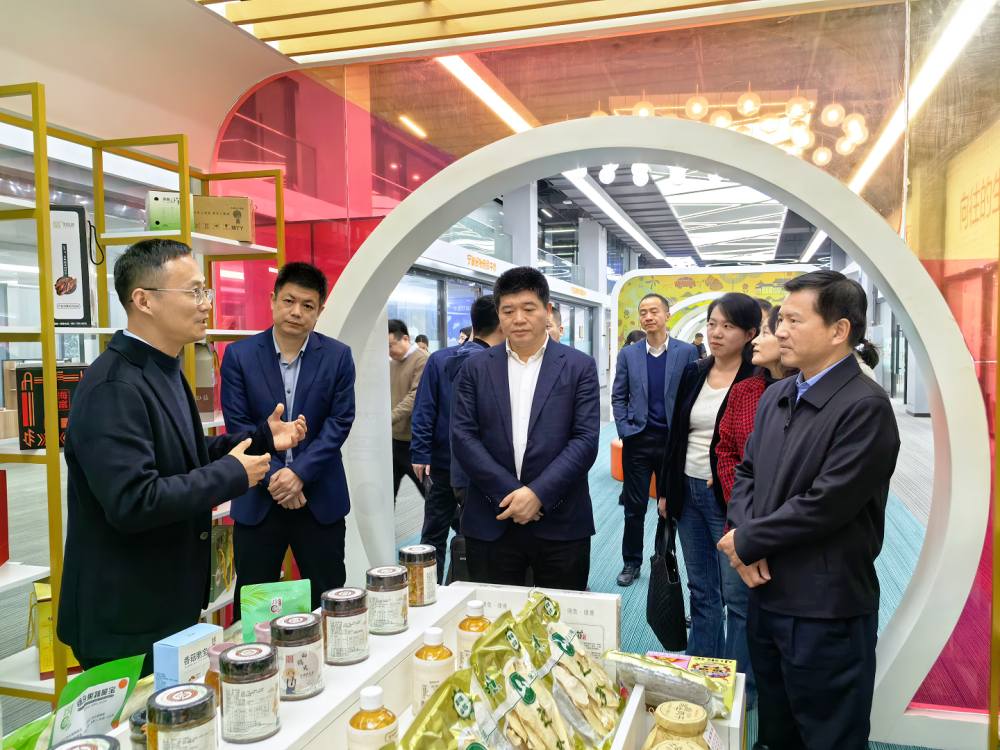 1741847565890783.jpg 15.jpg